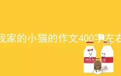 我家的小猫的作文400字左右