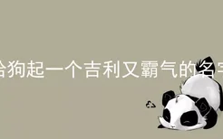 给狗起一个吉利又霸气的名字