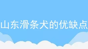 山东滑条犬的优缺点