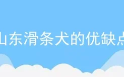 山东滑条犬的优缺点