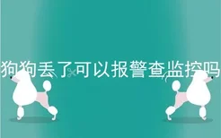 狗狗丢了可以报警查监控吗