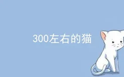 300左右的猫