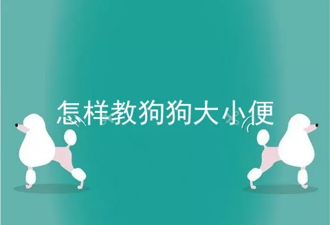 怎样教狗狗大小便