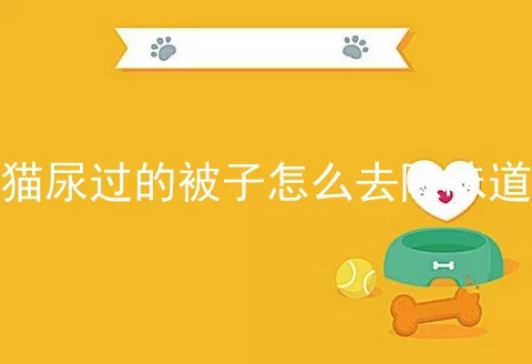 猫尿过的被子怎么去除味道