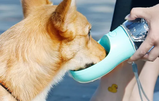 狗狗夏季外出带水瓶 狗狗外出必备便携式饮水瓶