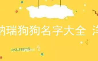 雪纳瑞狗狗名字大全洋气