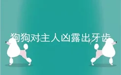 狗狗对主人凶露出牙齿