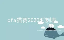 cfa猫赛2020时刻表