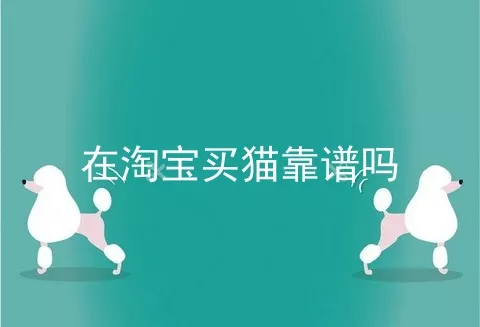 在淘宝买猫靠谱吗