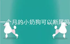 一个月的小奶狗可以断尾吗