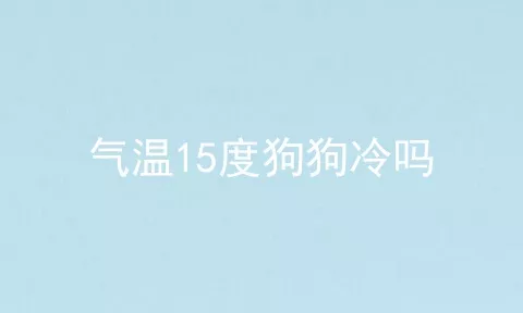 气温15度狗狗冷吗