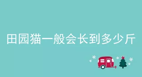 田园猫一般会长到多少斤