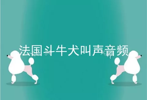 法国斗牛犬叫声音频