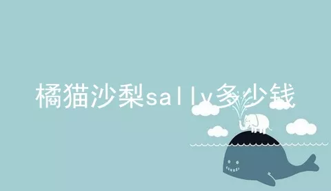 橘猫沙梨sally多少钱