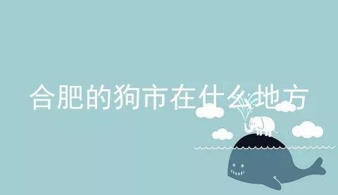 合肥的狗市在什么地方