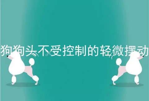 狗狗头不受控制的轻微摆动