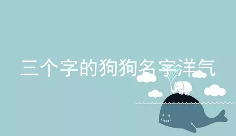 三个字的狗狗名字洋气