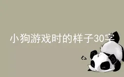 小狗游戏时的样子30字