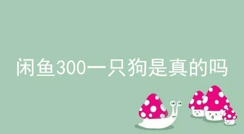 闲鱼300一只狗是真的吗