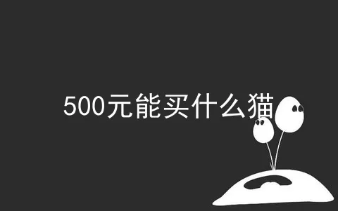 500元能买什么猫