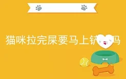 猫咪拉完屎要马上铲掉吗