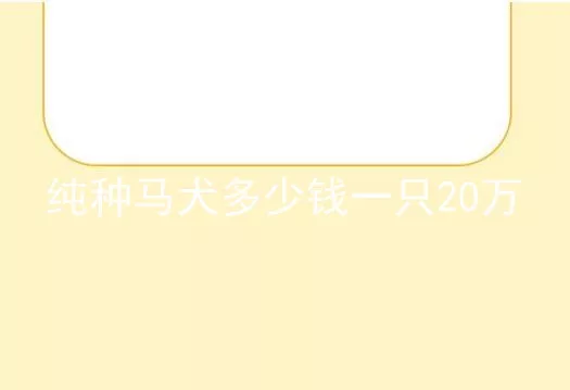 纯种马犬多少钱一只20万