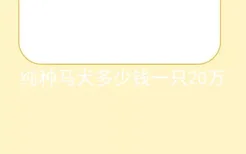 纯种马犬多少钱一只20万