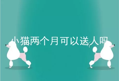 小猫两个月可以送人吗