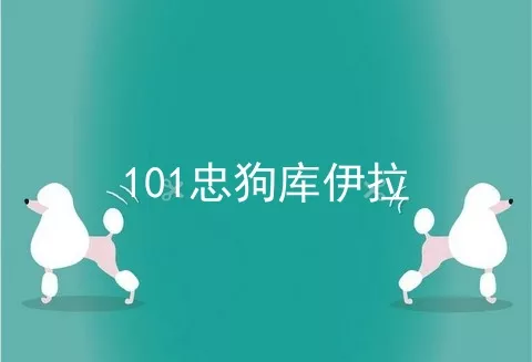 101忠狗库伊拉