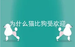 为什么猫比狗受欢迎