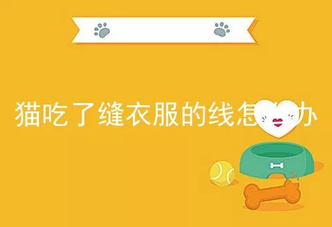 猫吃了缝衣服的线怎么办