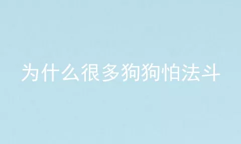 为什么很多狗狗怕法斗