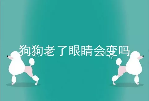 狗狗老了眼睛会变吗