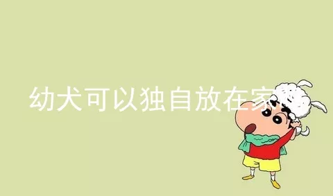 幼犬可以独自放在家吗