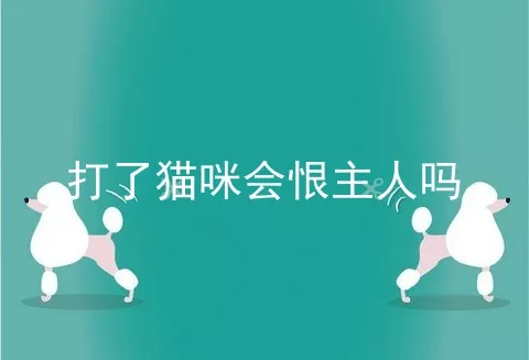 打了猫咪会恨主人吗