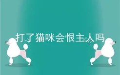 打了猫咪会恨主人吗