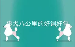 忠犬八公里的好词好句