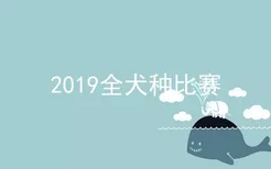 2019全犬种比赛