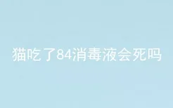 猫吃了84消毒液会死吗