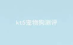 kt5宠物狗测评