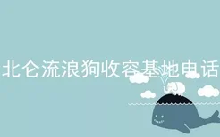 北仑流浪狗收容基地电话