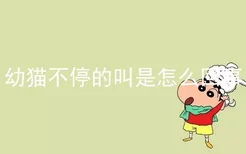 幼猫不停的叫是怎么回事