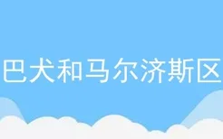 京巴犬和马尔济斯区别