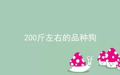 200斤左右的品种狗