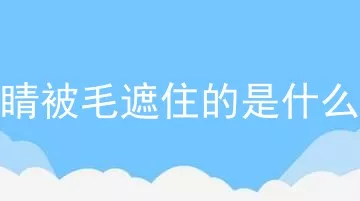 眼睛被毛遮住的是什么狗