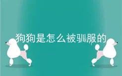 狗狗是怎么被驯服的