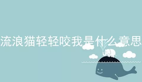 流浪猫轻轻咬我是什么意思