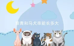 狼青和马犬串能长多大