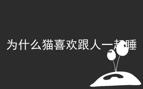 为什么猫喜欢跟人一起睡