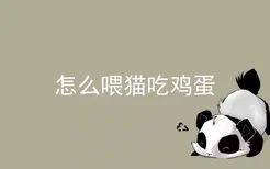 怎么喂猫吃鸡蛋